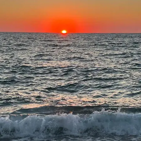 Club One Bed 79g * Pizzo (Calabria)